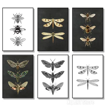 Vintage Mora Prírody Hmyzu Vytlačí Plagáty Domov Stenu Decor Zvierat Vzdelávacie Obrázky Na Plátne Obrazy Detská Izba Umelecké Dekorácie